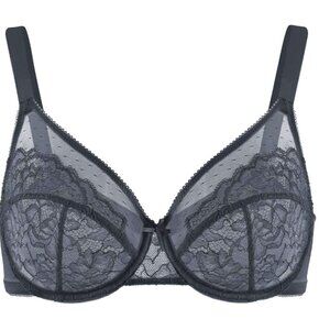 NWT HSIA Enchante Gray Lace Full Coverage Underwire Bra 34 DD